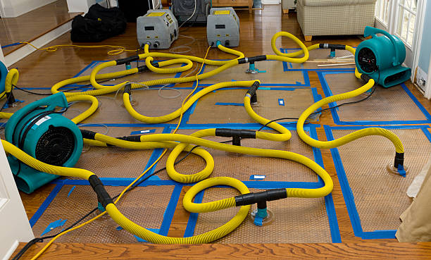 Professional Water Extraction technician working in Billings, MO